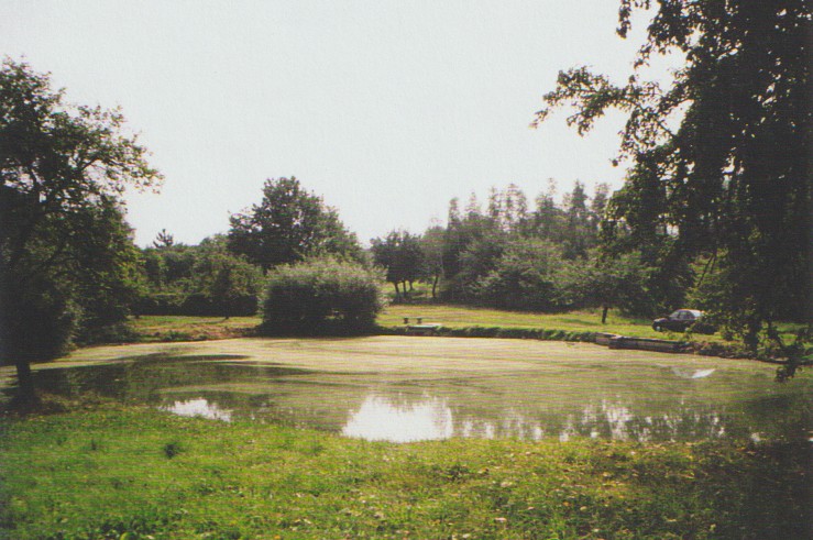 Unbenannt 16